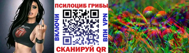 где можно купить наркотик  Верхняя Тура  Галлюциногенные грибы MAGIC MUSHROOMS 