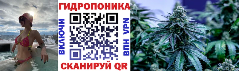 Канабис сатива Верхняя Тура